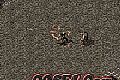 Ӣۺϻ,˿ţħʦ